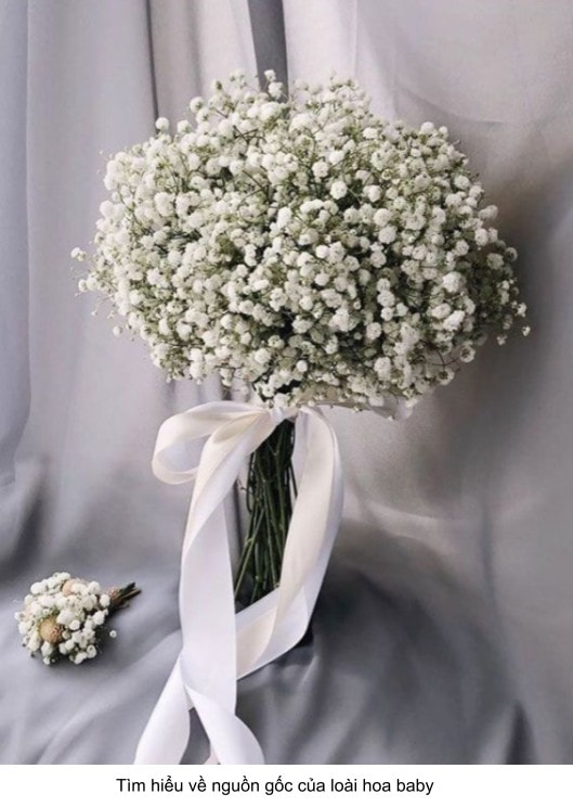 hoa bi cưới cầm tay