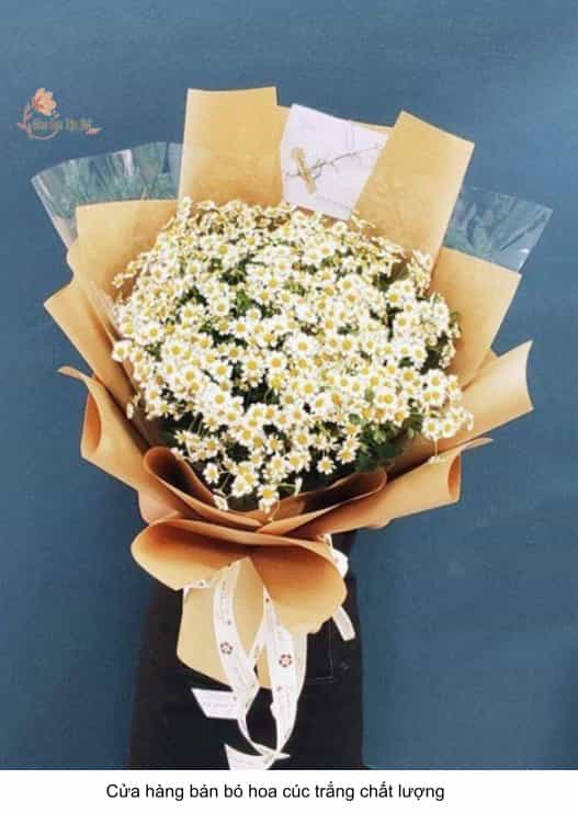 cửa hàng bán hoa cúc trắng