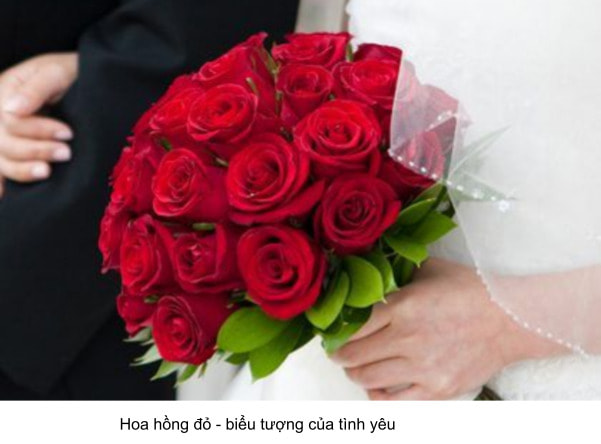 hoa cưới cầm tay hoa hồng đỏ