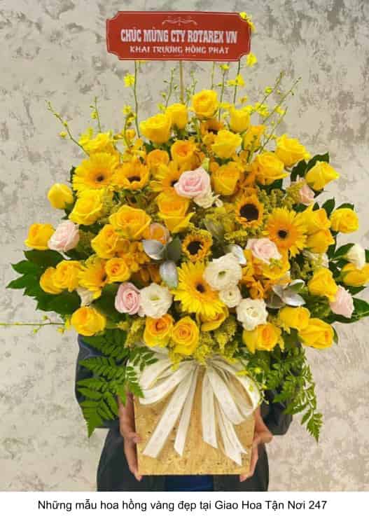 những mẫu hoa hồng vàng đẹp nhất