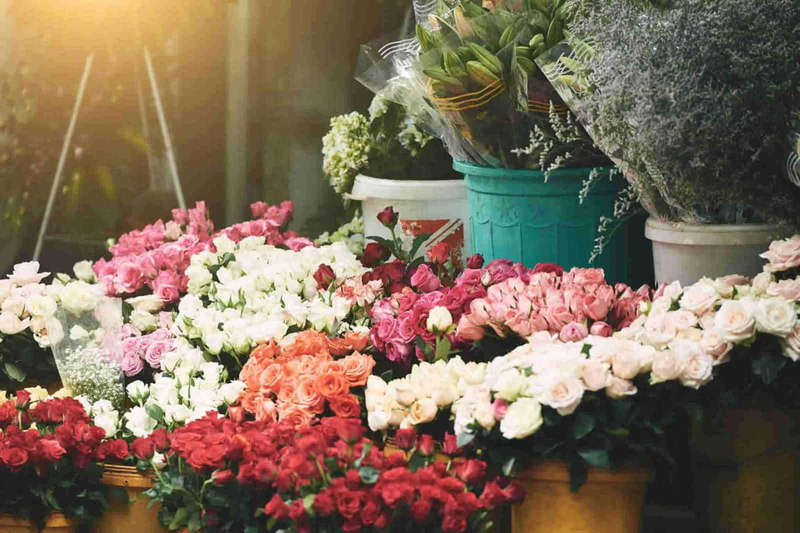 đặt vòng hoa tang lễ tại phú yên