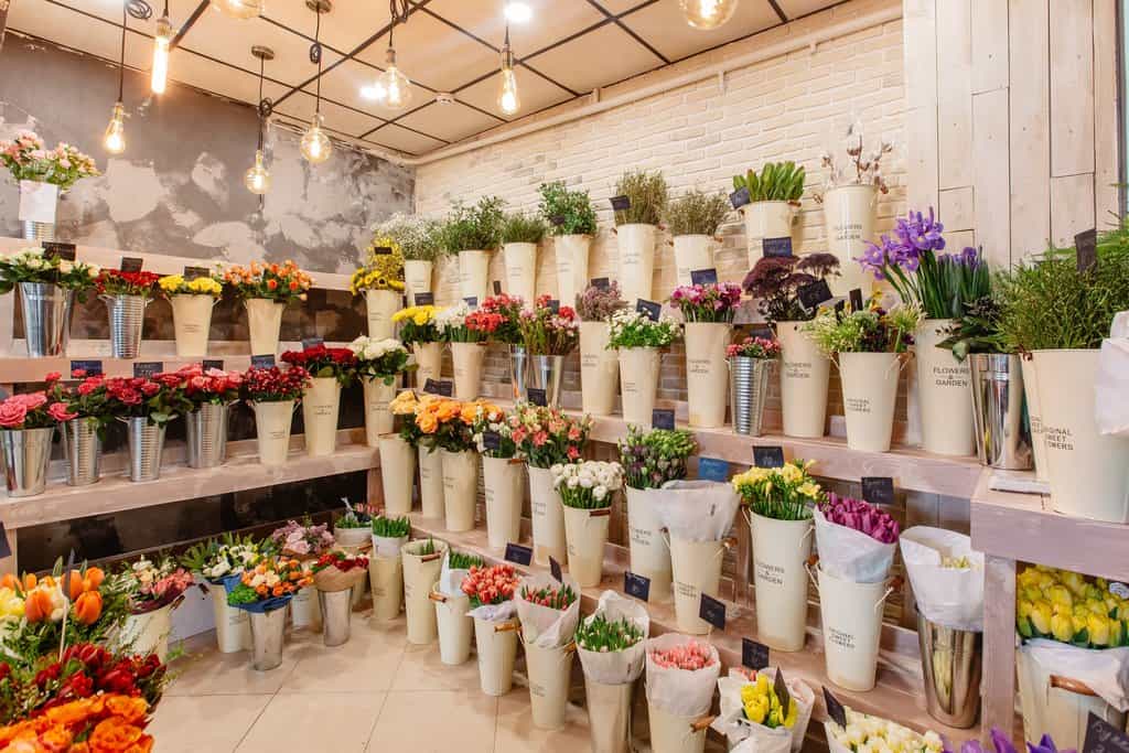 shop hao tươi quận 4