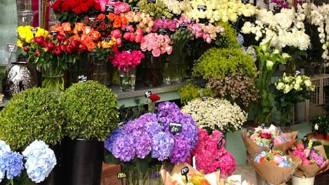 shop hoa quận 4 uy tín chất lượng