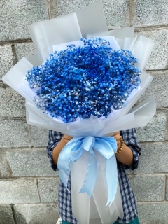 Bó Hoa Baby Tặng Tốt Nghiệp