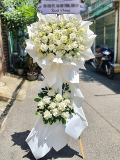 Hoa Tang Tông Trắng