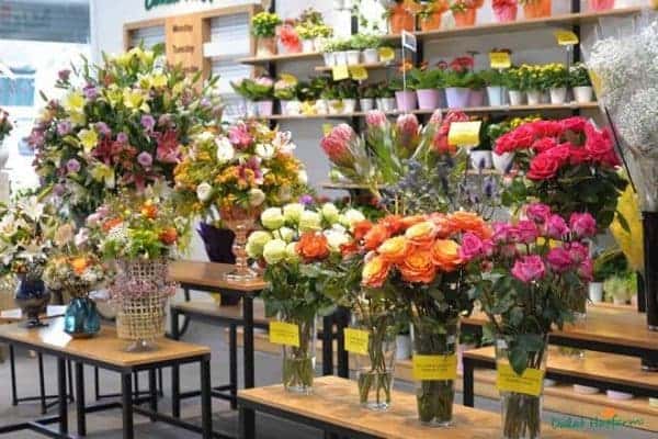 <strong>Top 1 Shop hoa tươi đẹp nhất TP. Quy Nhơn</strong> Nơi tìm kiếm những bông hoa tươi đẹp và ý nghĩa