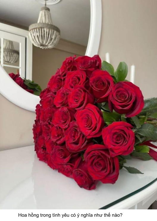 ý nghĩa của các loài hoa trong tình yêu