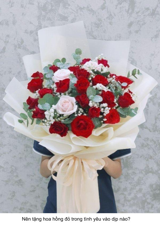 nên tặng hoa hồng đỏ treong dịp nào