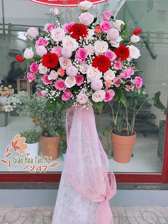 Kệ Hoa Khai Trương Tông Hồng